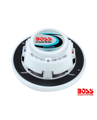 6.5" IN-WALL SPEAKER (350 W MAX)