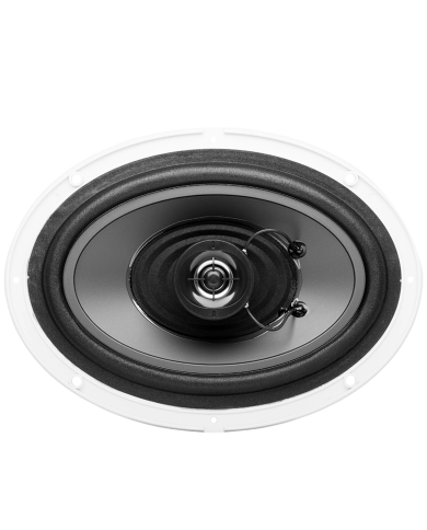 6' x 9' IN-WALL SPEAKER (350 W MAX)