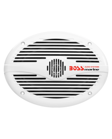 6' x 9' IN-WALL SPEAKER (350 W MAX)