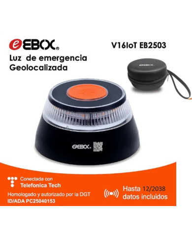 EBV16