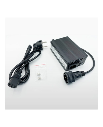 Cargador PoweryMax 8.5A para TX50