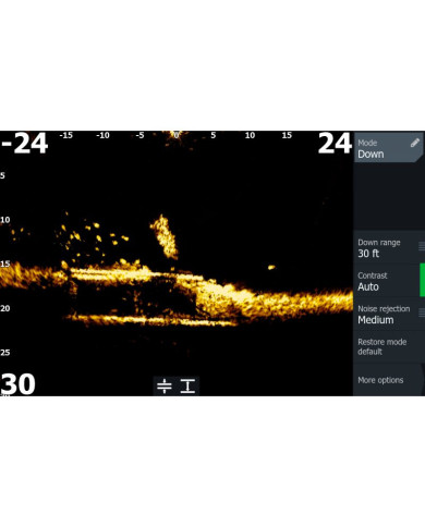 Lowrance Elite FS 12 con Transductor ActiveTarget 2 XL