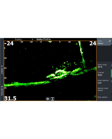 Lowrance Elite FS 12 con Transductor ActiveTarget 2 XL y Batería de Litio PoweryMax TX50