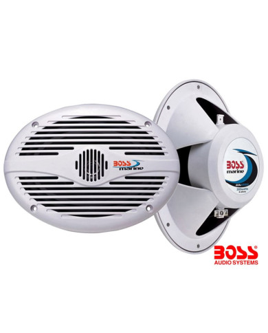 6' x 9' IN-WALL SPEAKER (350 W MAX)