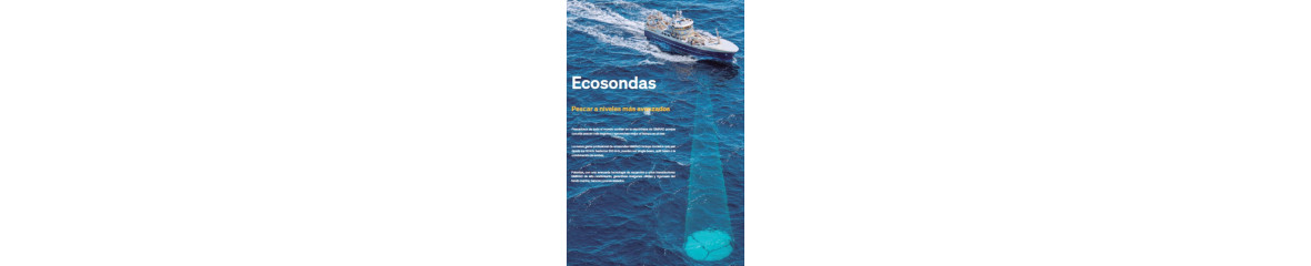 Ecosondas